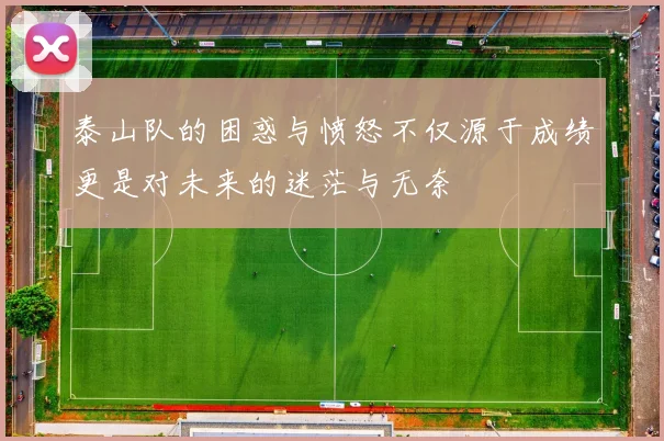 泰山队的困惑与愤怒不仅源于成绩更是对未来的迷茫与无奈